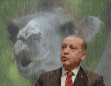Erdoğan, Regen, singin´in the rain, im Regen stehen,